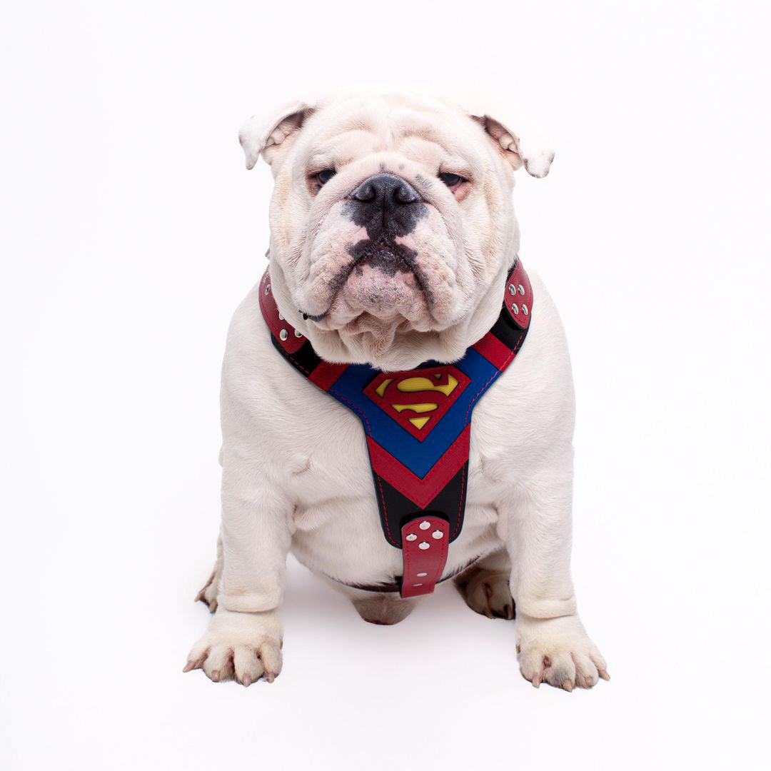 Superdog Harness Medium Size-2