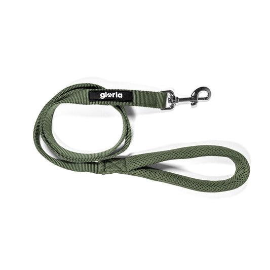 Dog Lead Gloria 120 cm Green S-0